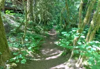 Snowline Cabin #4 - A Pet-Friendly Cedar Cabin with a Private Outdoor Hot Tub! Hotels in Glacier