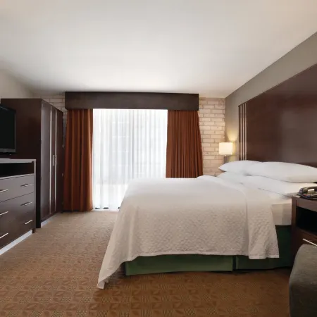 Embassy Suites by Hilton Corpus Christi