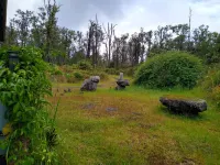 Rainforest Volcano Retreat – As Seen on TV! Near Volcanoes Nat’l Park Hotels in Fern Forest