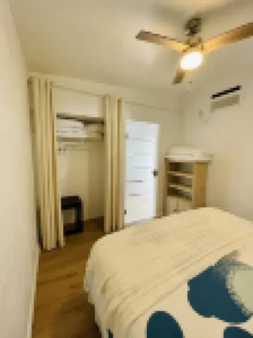 💙Blue flower (🦋Pet friendly)