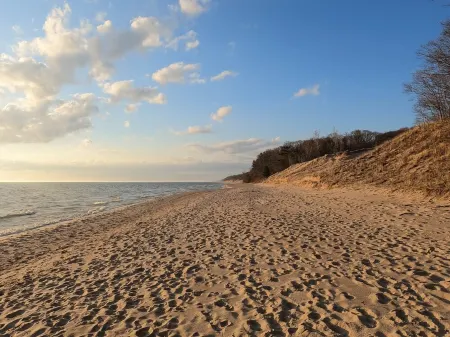 PJ's Cedar Cabin - Luxury-Rustic at its Best! Отели в г. Нортон Шорс