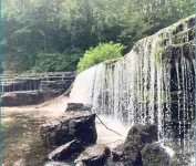 Sunny Blue Bungalow near Nashville in Historic Downtown Murfreesboro
