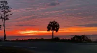 Three Little Birds cozy cottage 10 min from St. George Island and Apalachicola!