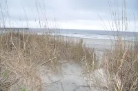 Ocean view, Pet Friendly house with private swimming pool! Sleeps 10.