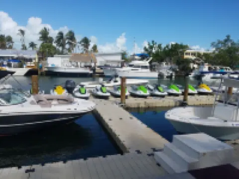 Dip n' Sip Oasis: Heated pool, close to the beach & Atlantic ave!
