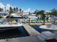 Dip n' Sip Oasis: Heated pool, close to the beach & Atlantic ave!