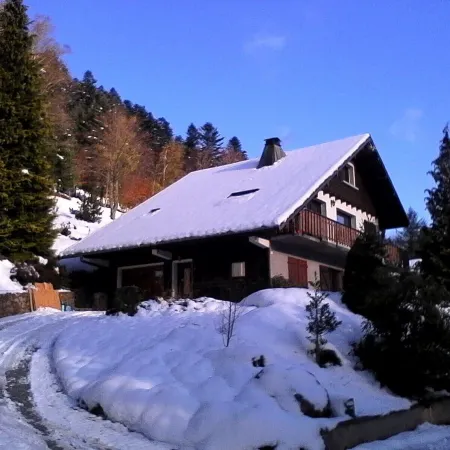 3-room apartment in "Les Pommes de Pin" chalet, with terrace and garden