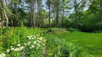 Catskills Cabin on 100 Wooded Acres with Lake