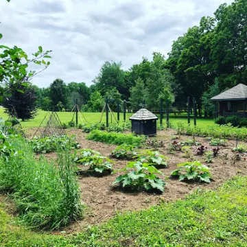 Orchard Park cottage Hotels in 