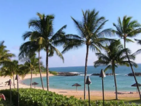 Island Breeze Oasis - Newly Furnished
