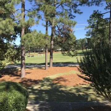 Pinehurst Perfection