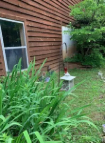 Relax in the Ozark Woods at a Quiet Nature Retreat with a Private Walking Trail.