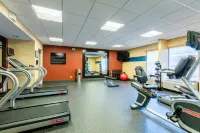 Hampton Inn by Hilton St. Charles St. Peters - Gym