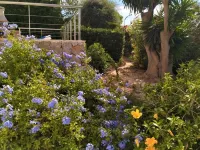 3min. Walk to the beach, Villa Bini Perla, sea view, sunny, quiet location Hotels in Binibeca