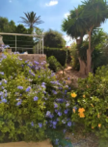 3min. Walk to the beach, Villa Bini  Perla, sea view, sunny, quiet location