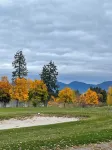 Montana Forest Retreat, Easy Walk to Flathead Lake, 1.5 Acres Fenced for Dogs!