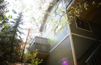 National Forest in Your Backyard! Family + Pet Friendly w/ Spa!