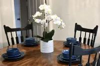 Frisco Newly Renovated Oasis