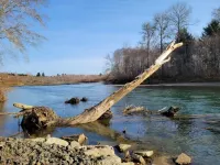 REMOTE HUMPTULIPS RIVER CABIN!