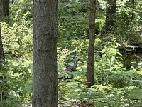 Maple Ridge Cabin at Panther's Rest