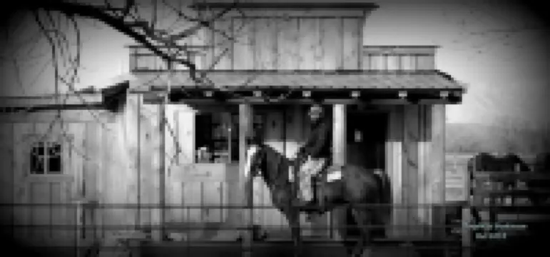 The Bunkhouse: Mountain views, solitude, close to  town and many western sights.