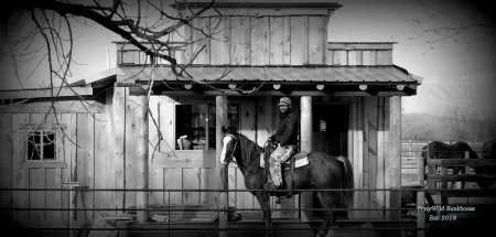 The Bunkhouse: Mountain views, solitude, close to  town and many western sights.