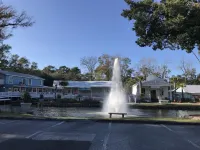Need to get away ... Cabin fever got you down. Take a trip to Pawleys Island, SC
