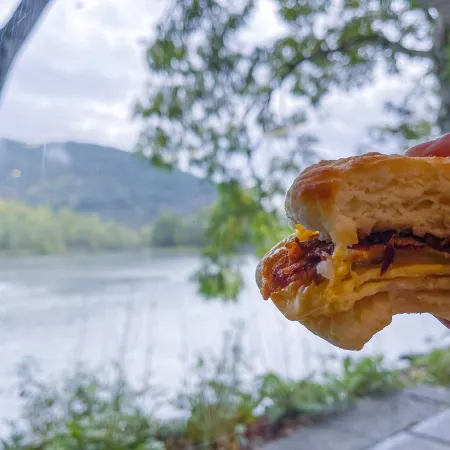 The Rocky Mount: Cozy cabin atop The New River Gorge