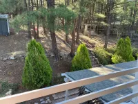 Flagstaff; Big house with Hot Tub Close to downtown, Secluded in the cool pines.