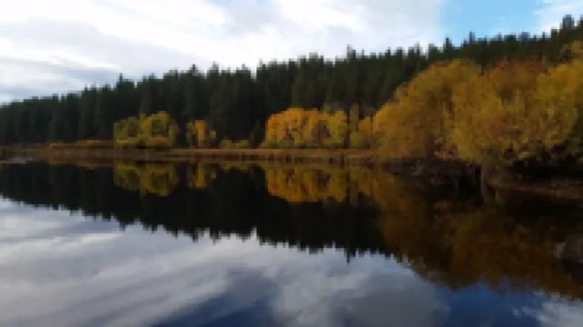 Award Winning Downtown Cottage Retreat-Bachelor is Open-EV Charger