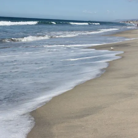 OCEAN VIEW, 1BR, OUTSTANDING LOCATION F