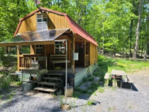 Primitive Cozy Tiny Cabin with Starlink Internet