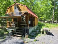 Primitive Cozy off grid tiny home with Starlink
