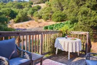 Studio cottage retreat in a vineyard setting