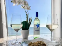 Oceanfront Seaside Stargazer+Hot Tub+Pets OK+Infinity Table+Beach Gear+4 Kings - Beach