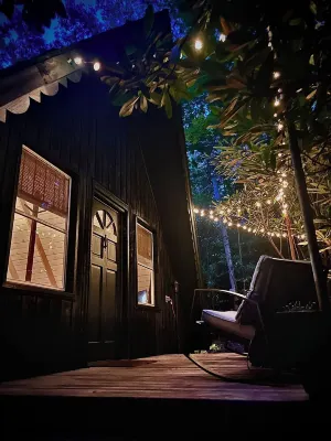 A-frame Blue Ridge Parkway Cabin - Pet Friendly