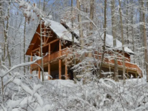 Secluded 3-bedroom cabin on 42 wooded acres with fishing pond, AC, WiFi Hotels in Coshocton County