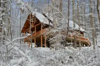 Secluded 3-bedroom cabin on 42 wooded acres with fishing pond, AC, WiFi