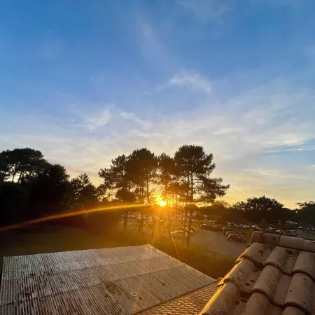 Apartment with your head in the trees, 50m from the lake - Hourtin Port