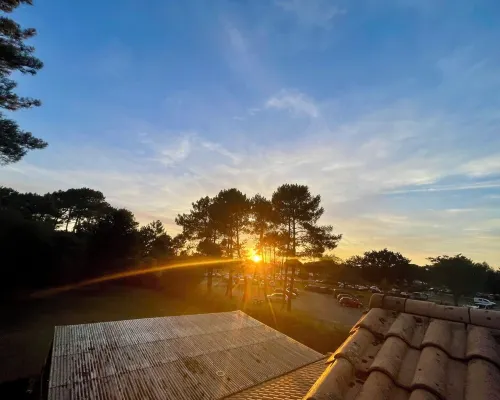 Apartment with your head in the trees, 50m from the lake - Hourtin Port Hotels in Hourtin