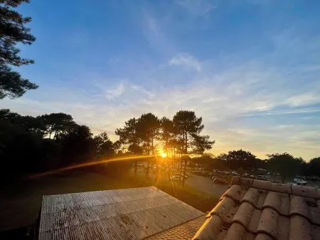 Apartment with your head in the trees, 50m from the lake - Hourtin Port