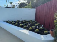 FABULOUS 5 BR/6BA ALL ENSUITE, GAMEROOM, MURAL, ART,SALTWATER POOL SPA, LOCATION