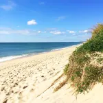 Edgartown Designer Cottage Between Town & Beach. Ferry Tickets Available!