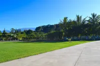 Maui Plantation Cottage Located Near Beach And Paia, Permitted Bbph 2017/0004