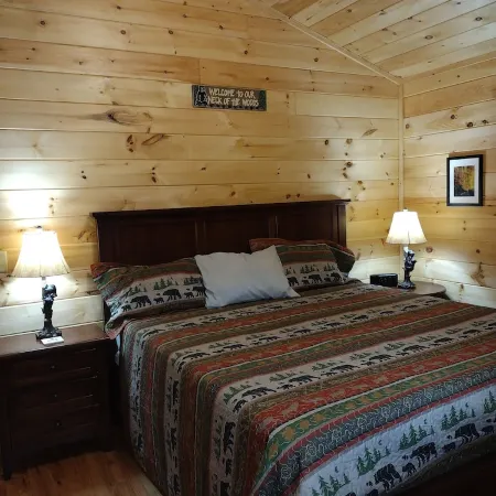New Listing! Mountain Cabin Getaway with a Fire Pit, High Speed Internet, Dog OK