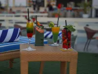 Golden Tulip Muscat - Baarit