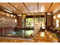 Ryokan Hinoemata - Kaplıcalı