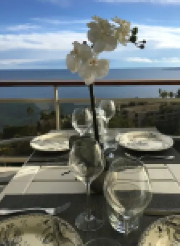 SUPER CANNES / GOLFE JUAN LUXURY APARTMENT SEA IMPRENABLE SEA. PRIVATE FLOOR
