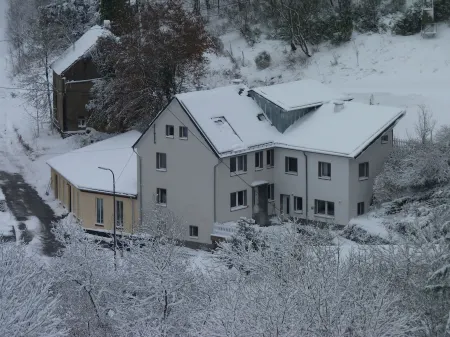 Eifel holiday home for 27 guests - for family celebrations or family friends Отели в г. Цвайфельшайд