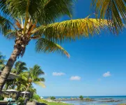 벨 아주르 비치 레지던스, LOV 있음